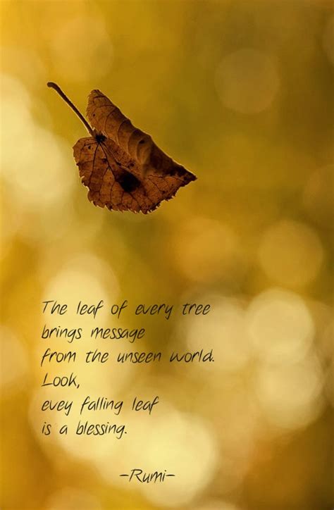 autumn end quotes|autumn quotes by rumi.